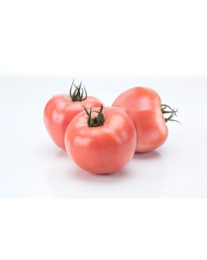 Pomidor PINK WAVE 500 nasion ZW  ST