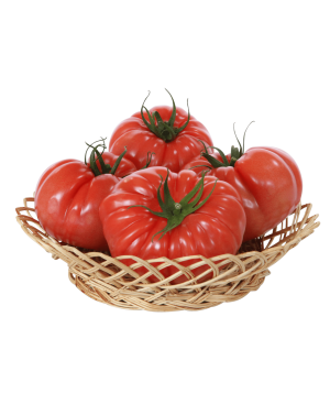 Pomidor Leroxy 50 nasion