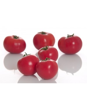 Pomidor PINK DREAM (TM10595) 500 nasion