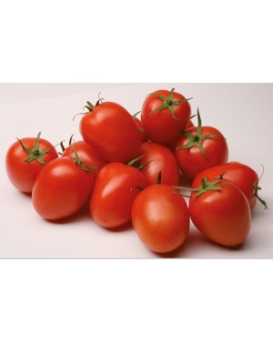 Pomidor CARDYNA 250 nasion ZW