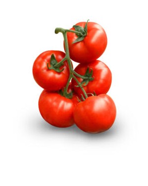 Pomidor MERYVA 250 nasion ZW