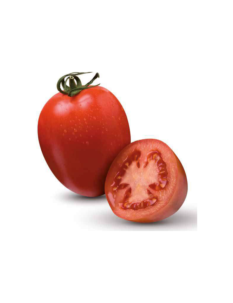 Pomidor BYELSA 250 nasion ZW