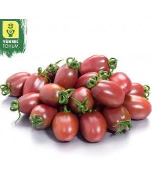 Pomidor PURPURINA 100 nasion