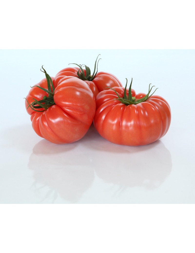 Pomidor LEROXY   100 nasion