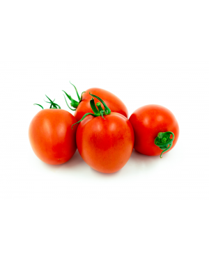 Pomidor CARMONA 250 nasion