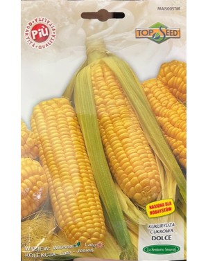 Kukurydza cukrowa DOLCE (HOBBY) 5 gr. Nasion