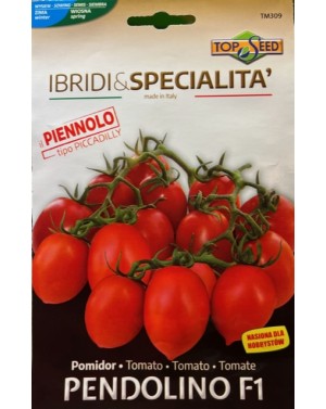 Pomidor PENDOLINO (HOBBY)...