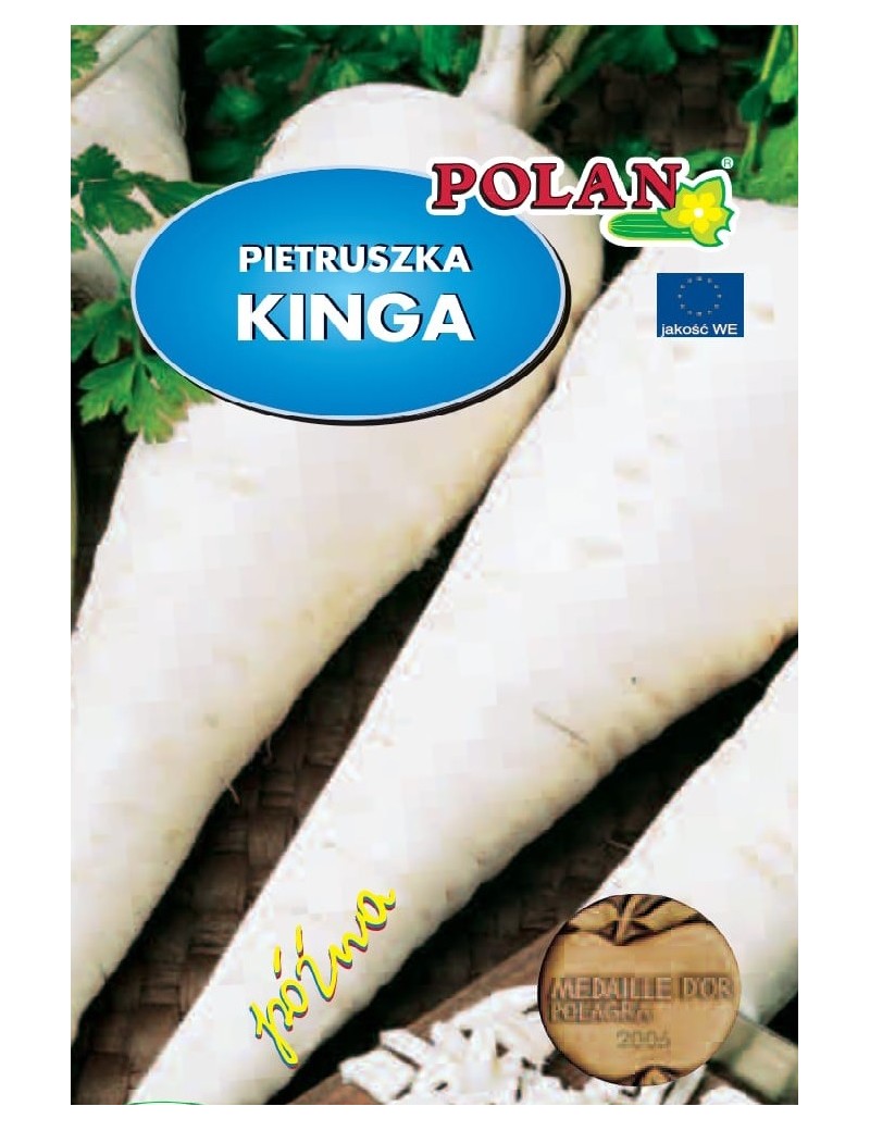 Pietruszka korzeniowa KINGA 500 gr. nasion