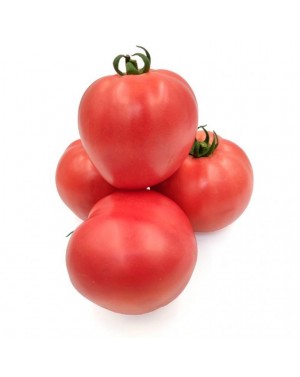 Pomidor PINK KING