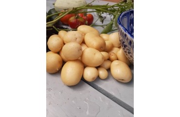 Ziemniaki z nasion- zupełna nowość na rynku !